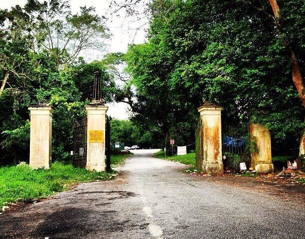BB Gates Sept 2013 (photo Theresa Teng)